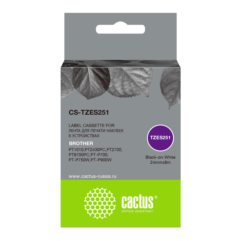 Cactus CS-TZES251